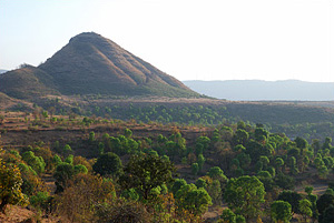 Naturzerstrung in den Western Ghats
