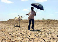 Dürre in Indien: Mögliche Verschlimmerung durch umstrittenes Staudammprojekt?