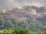 Waldzerstörung beim Bau der Andhra Lake Windfarm. (Foto: DW/Rainer Hörig)