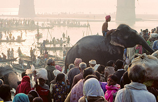 Elefantenmarkt am Ganges