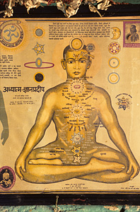 Ayurveda - Eine altindische Heilkunde erobert die Welt