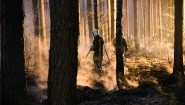 Feuerwehrleute löschen einen Waldbrand im nördlichen Brandenburg (picture alliance/Julian Stähle/dpa-Zentralbild/dpa)