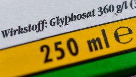 Die Verpackung eines Unkrautvernichtungsmittel, das den Wirkstoff Glyphosat enthält. (dpa / picture alliance / Patrick Pleul)